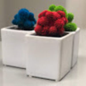 Meet your Posher, Zoraida